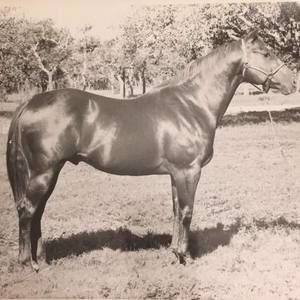 Meet your Posher, Valentin